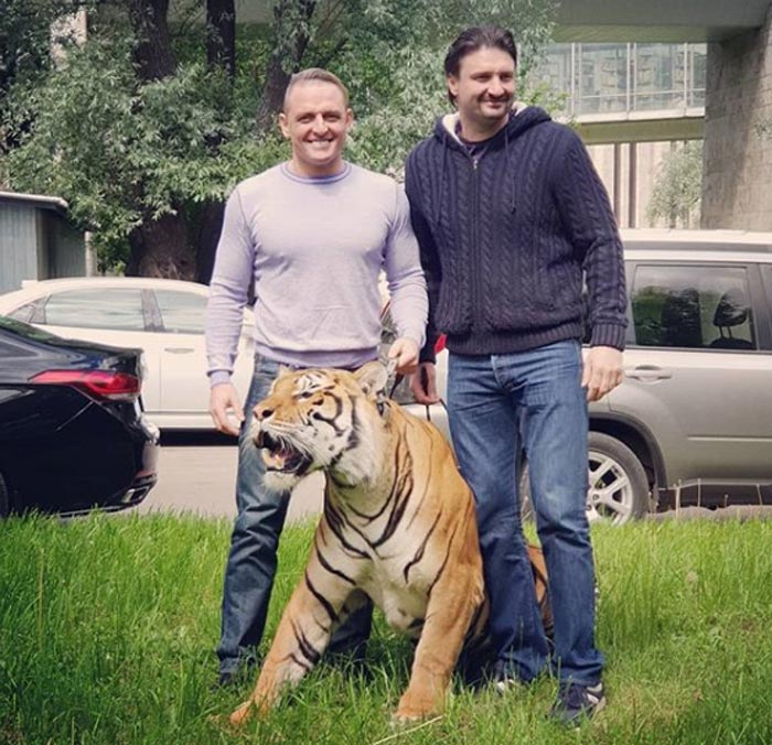 Аскольд и Эдгард Запашные с тигром