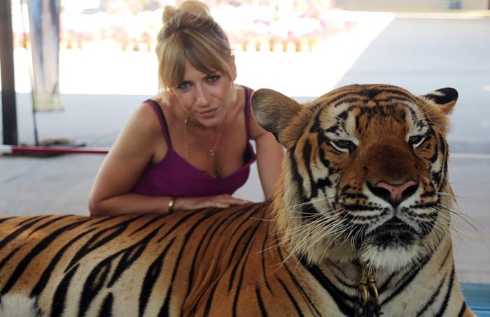 Леся Никитюк с тигром